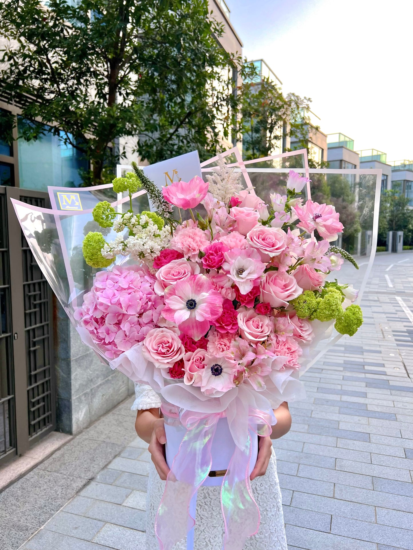 ๐ธ Pink Anemone ่็พ
้บ่