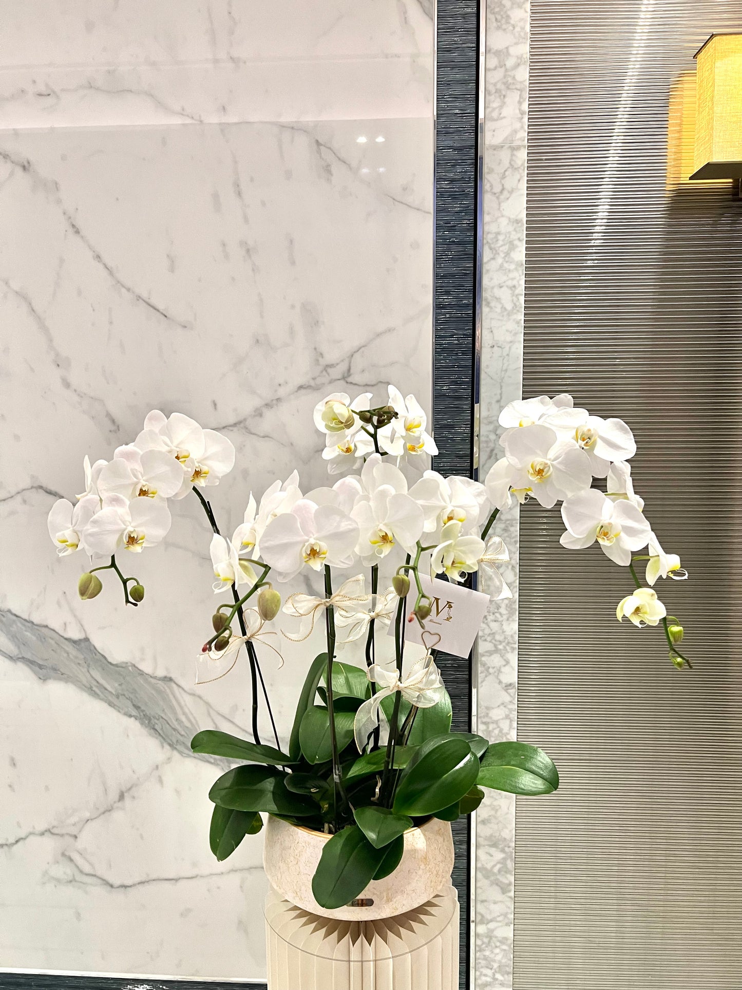 White Orchids Vase