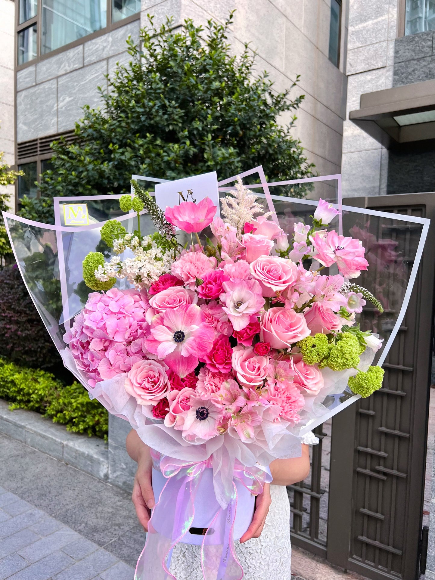 ๐ธ Pink Anemone ่็พ
้บ่