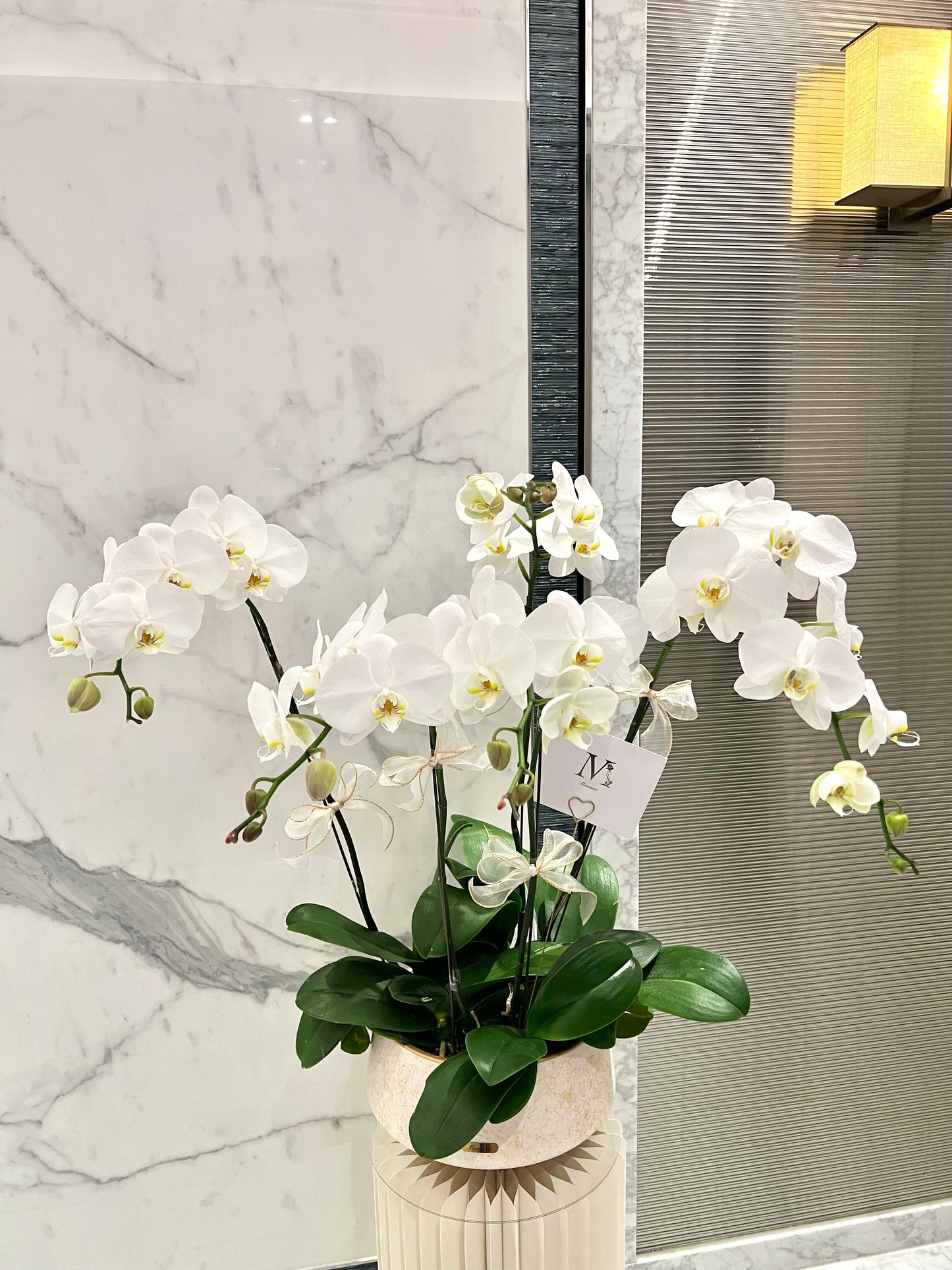 White Orchids Vase
