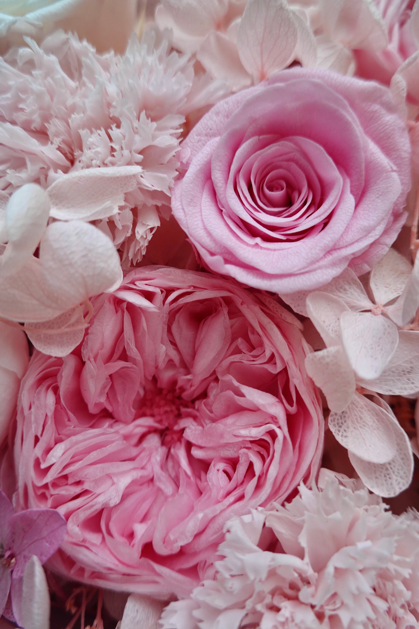 Preserved Rose Flower Box with Balloon - Pink