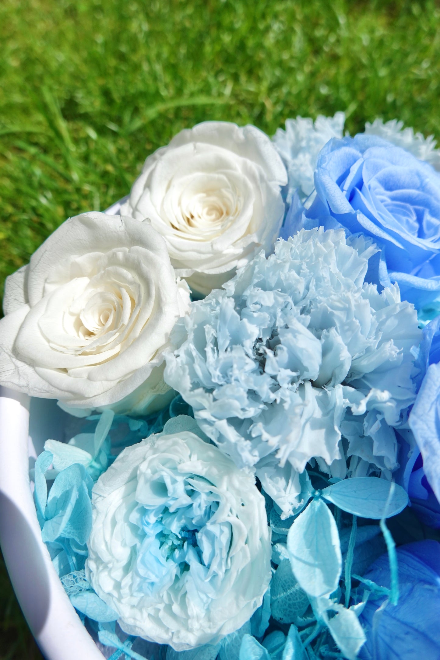 Preserved Rose Flower Box with Balloon - Blue