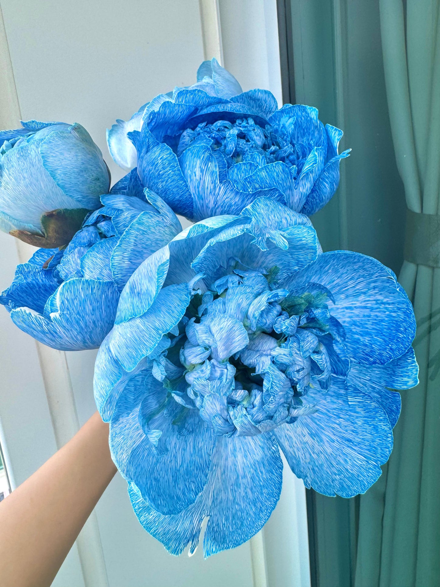Kayla - Blue Peony, Hydrangea, Orchid