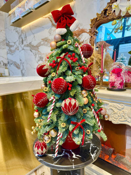 Noble Dutch Christmas Tree 50/60/70/80cm