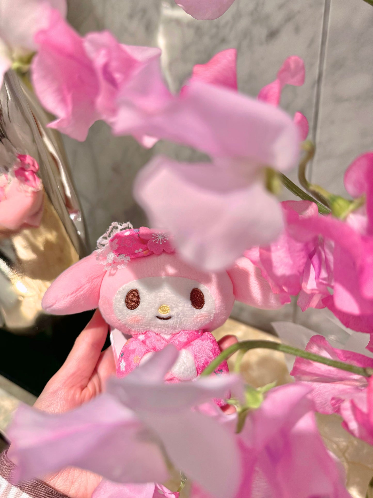 Kaya - Japanese Sweet Pea 日本豌豆花盒