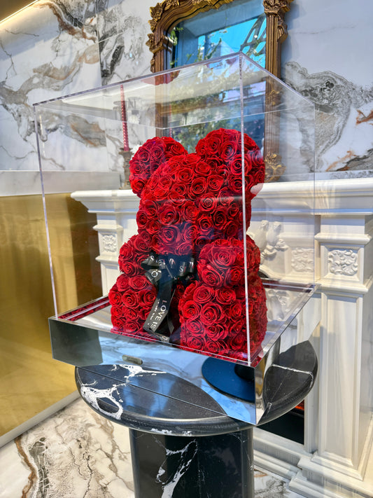 Preserved Flower Red Rose Giant Teddy Bear