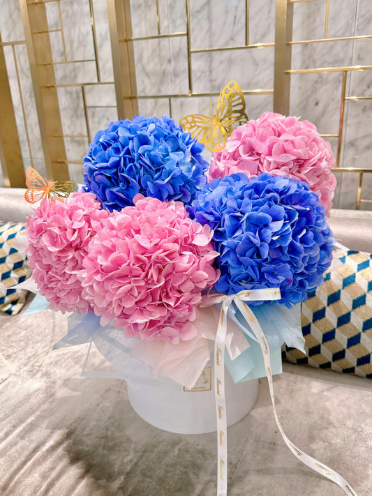 Thena - Large Hydrangeas