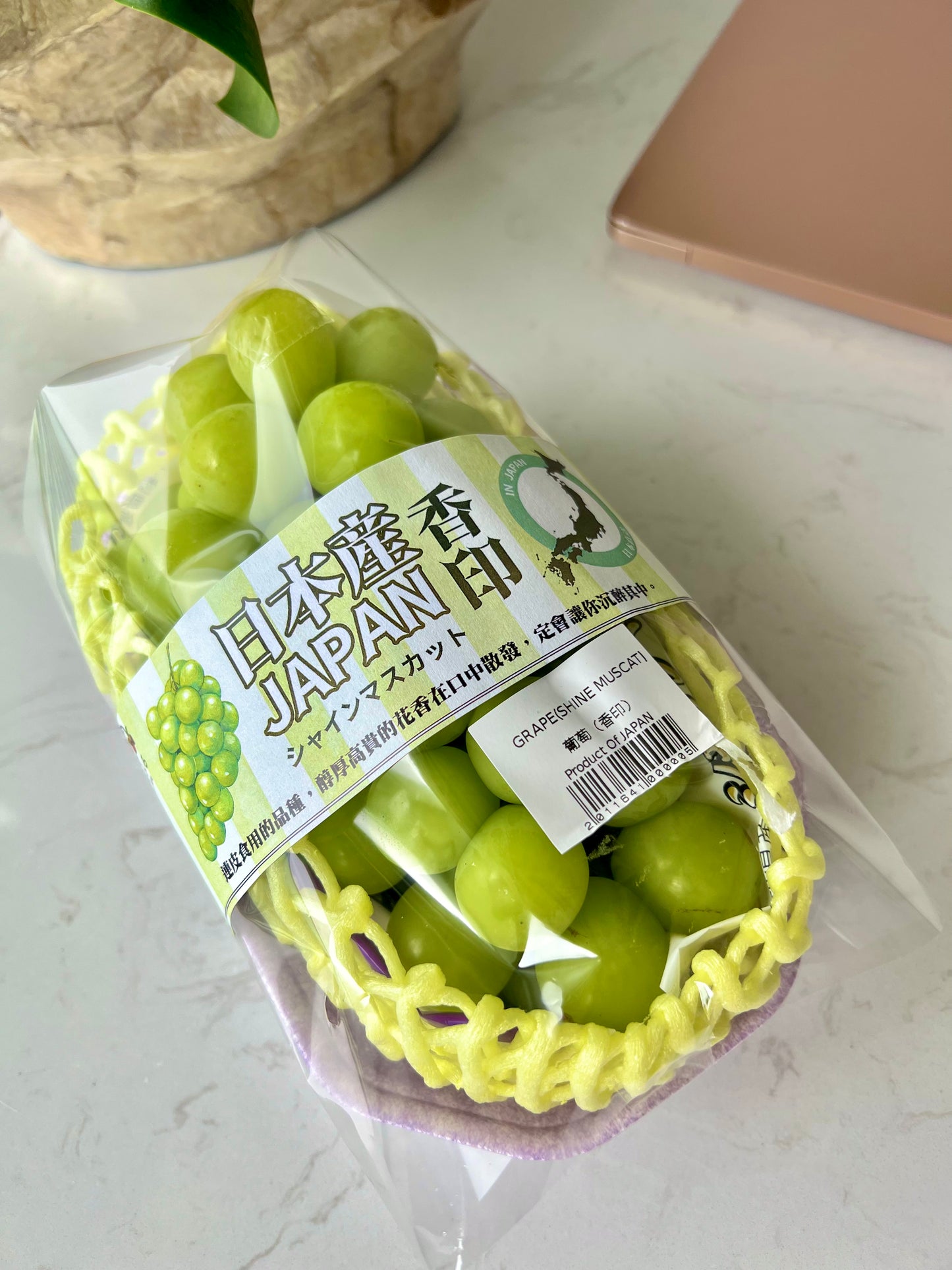 花果盒碧綠清新小花園￼