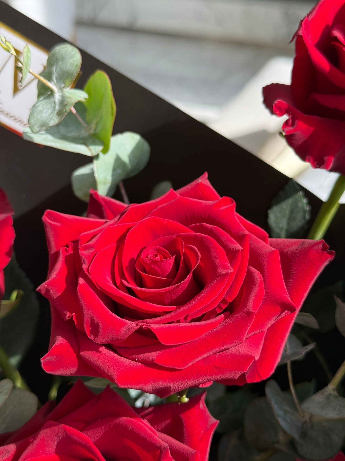 Premium Ecuadorian Red Roses Bouquet