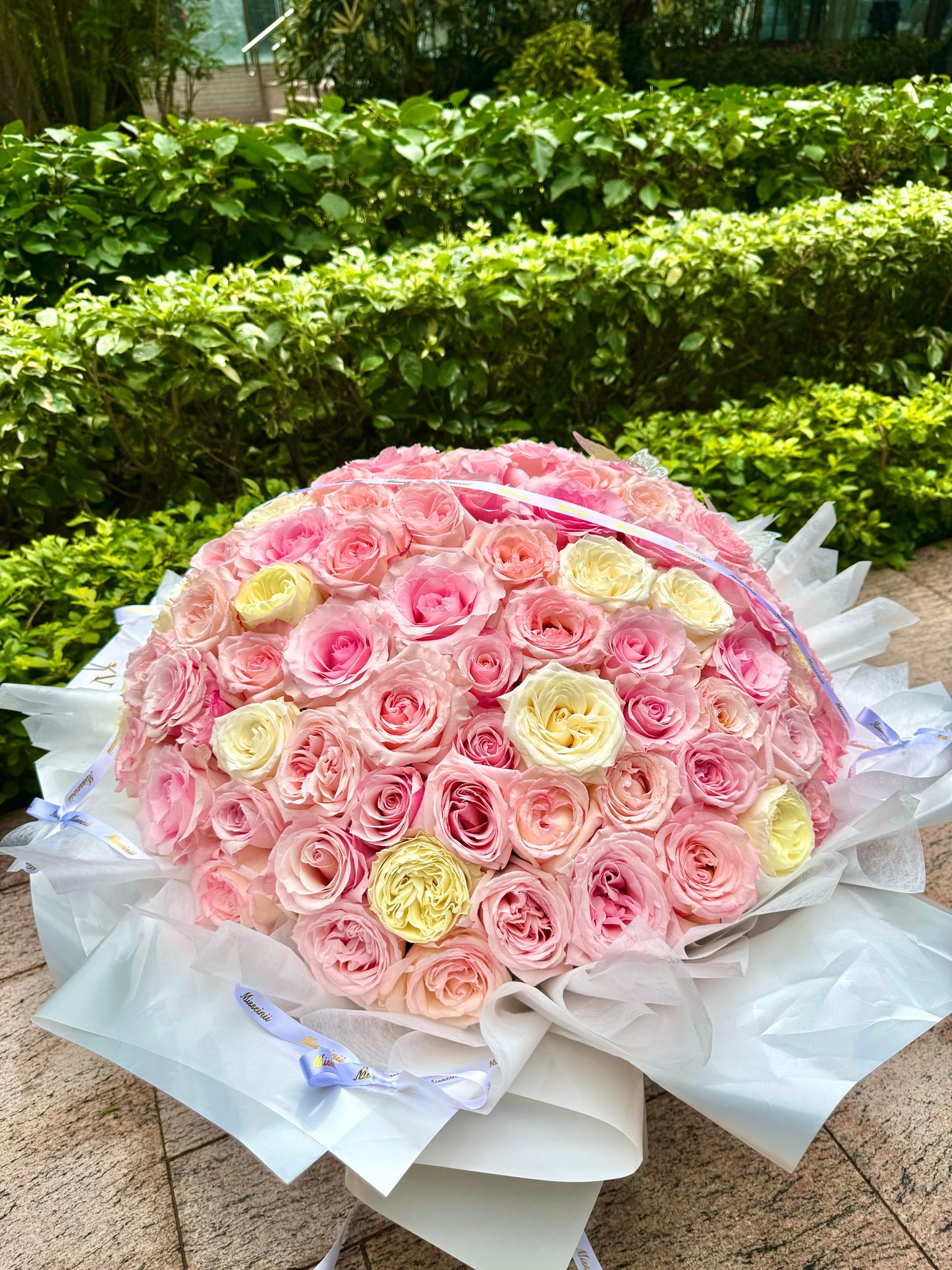 99 Pink Ecuadorian Roses