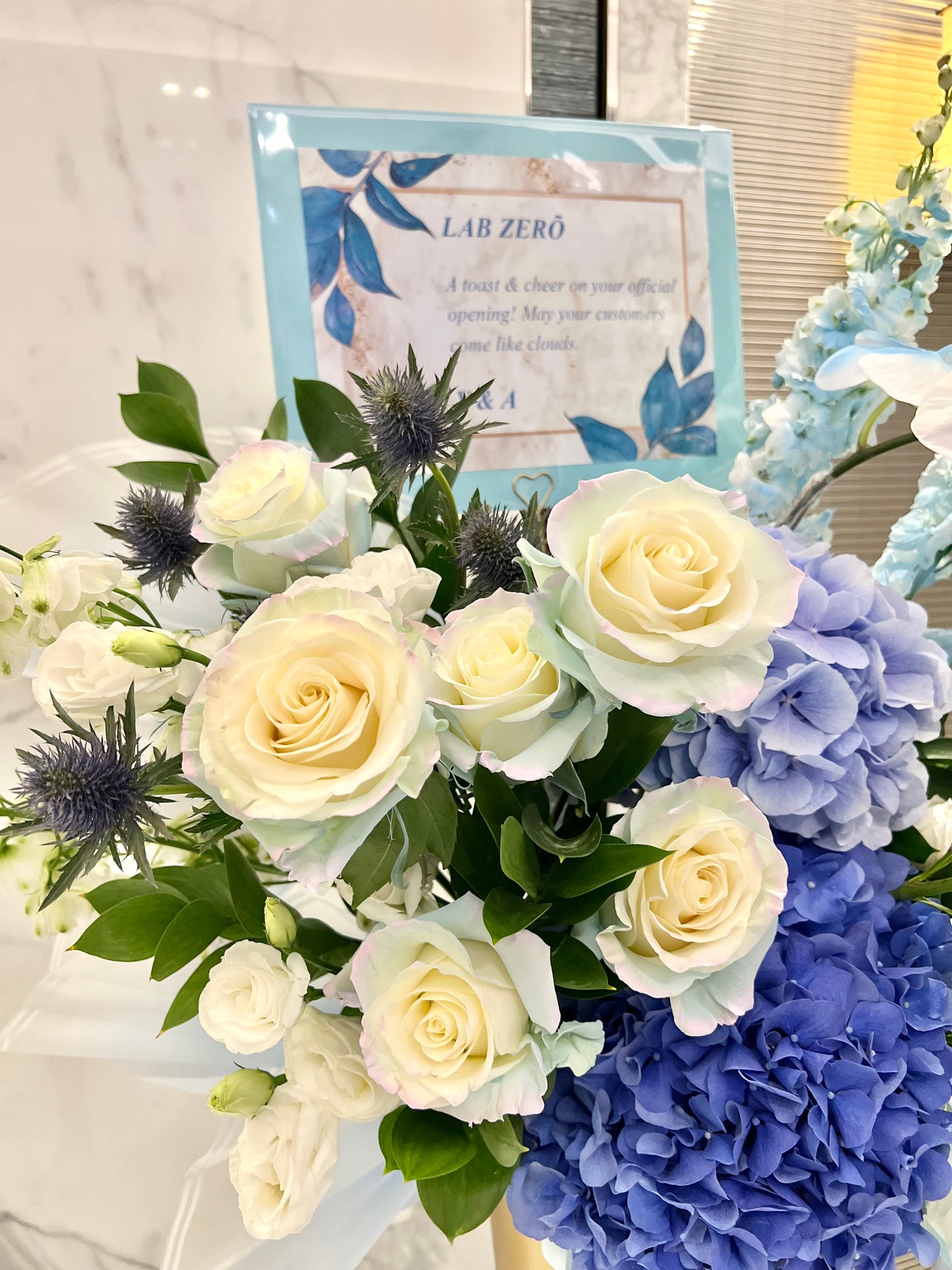 Capri - Blue Grand Opening / Welcome Stand